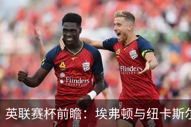 英联赛杯前瞻:埃弗顿与纽卡斯尔的较量及其影响因素分析